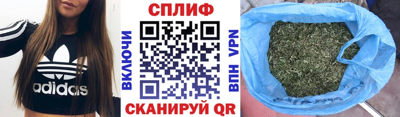 Бошки марихуана OG Kush  купить наркоту  Сальск 